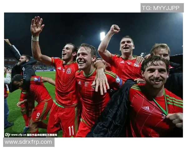 墨西哥与威尔士激战成和双方进球精彩瞬间回顾