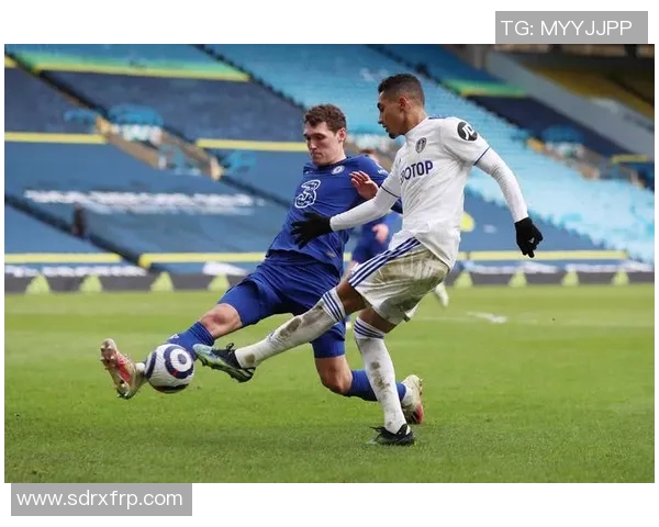 巴西与比利时精彩对决直播全程回顾与分析