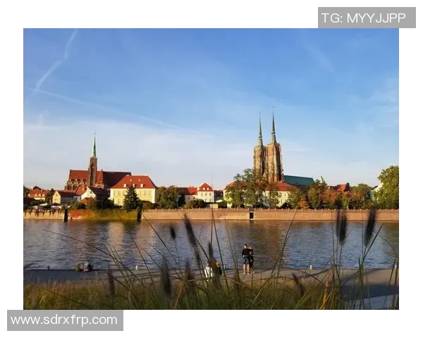 波兰与立陶宛精彩对决文字直播全程回顾与分析