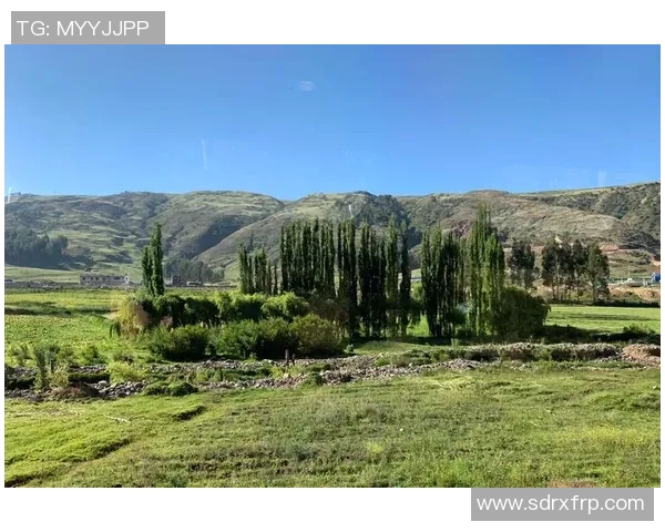 探索阿拉巴的魅力：历史文化与自然风光的完美结合之旅