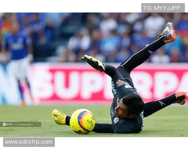 普埃布拉迎战老虎大学争夺墨西哥足球联赛重要积分 普埃布拉迎战老虎大学争夺墨西哥足球联赛重要积分