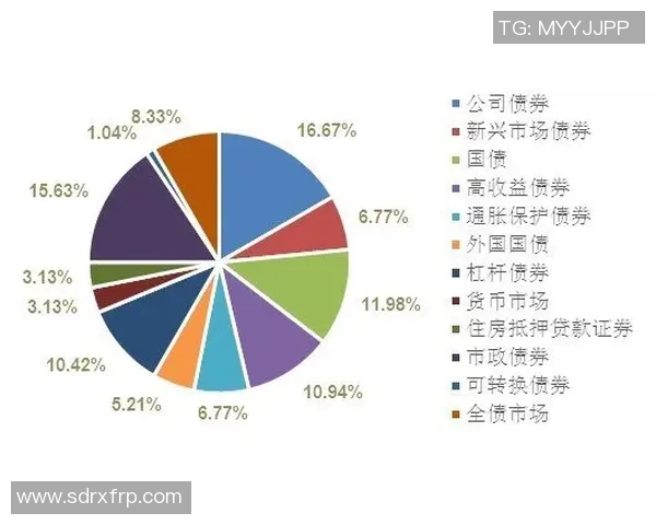 欧盟冰岛与比利时的对决分析及未来发展展望 欧盟冰岛与比利时的对决分析及未来发展展望