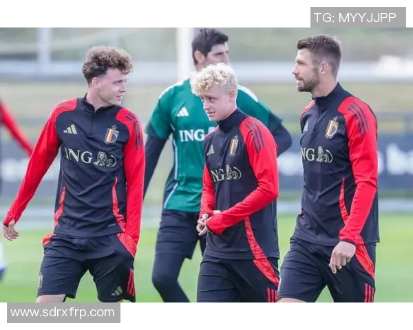 比利时与冰岛足球历史对决回顾与分析