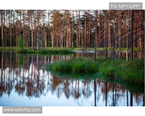 盐城湖与科罗拉多的壮丽风光与自然生态的深度对比分析