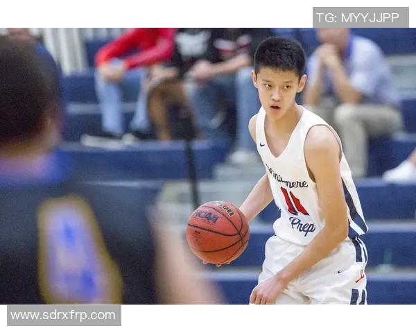 贺希宁：从篮球新星到职业生涯的璀璨之路探索与展望