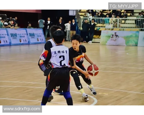 篮球温州明星的崛起与发展探索：从地方小将到全国瞩目的篮球新星