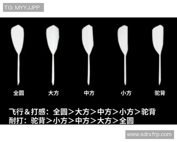 杭州羽毛球队整体压制战术解析及其对赛事的影响与启示